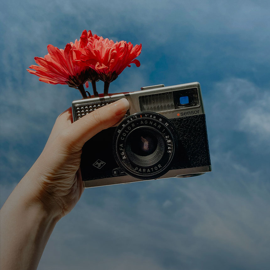 Arts & Photography